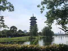 -洋湖国家湿地公园
