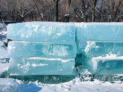 -长春市南湖公园