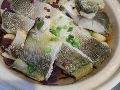 砂锅焗黄花鱼-1937青岛老味道·海肠捞饭·青岛菜(大鲍岛栈桥店)