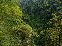 -老鼎万春卤菜(鹭湖宫8区店)