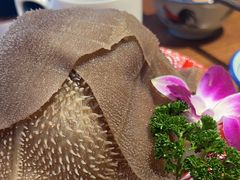 -楠火锅(仁恒梦中心店)