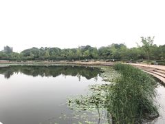 -新江湾城公园