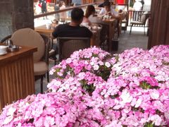 大堂-隔壁老王·家常云南菜(花巷店)