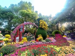 -杭州植物园