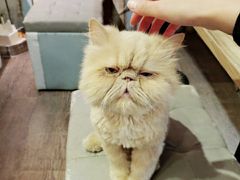 -小时光咖啡馆(开森度假森林店)