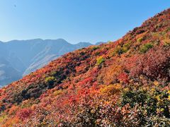 -周口店坡峰岭风景区