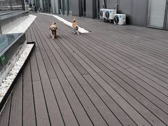 -百好乐宠物友好餐厅(朝外大街店)