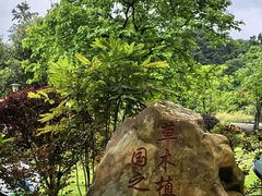 -东莞植物园