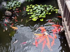 -凤凰山斑鱼馆(恭城店)