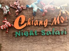-清迈夜间动物园