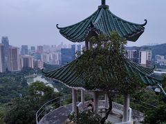 -板樟山森林公园