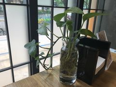 靠窗位-炖物24章·顺时轻养茶(杭州大厦店)