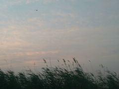 景点-白洋淀景区