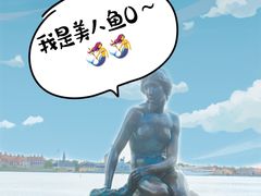 -美人鱼