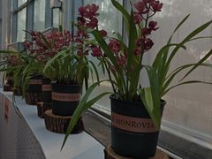 -国家植物园南园