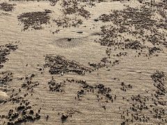 -烟台金沙滩海滨公园