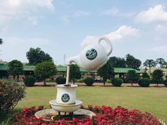 -侯臣咖啡文化村