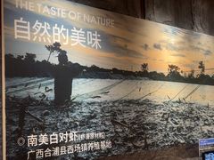 -巴奴毛肚火锅(龙湖锦艺城店)