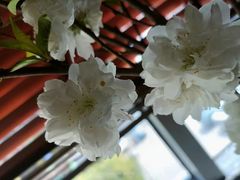 -南堂館川菜文化餐厅(天府店)