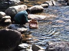 -祁门牯牛降观音堂风景区