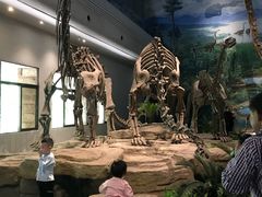 -自贡恐龙博物馆