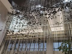 -张家港华芳金陵国际酒店