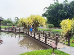 -中国科学院西双版纳热带植物园