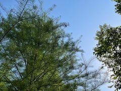 -南京市无想山景区