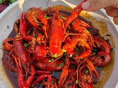 -京B·东篱精酿啤酒音乐餐厅