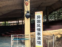 -白洋淀景区