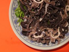 -陈记卤煮小肠