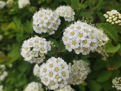 -长春公园(普阳街道)