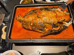 -炉鱼(亲橙里店)