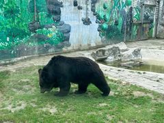 -黔灵山公园