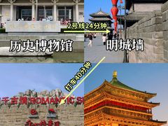 -秦始皇帝陵博物院(兵马俑)