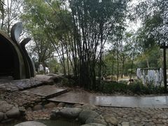 -三江森林温泉度假区