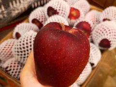-西郊国际农产品交易中心