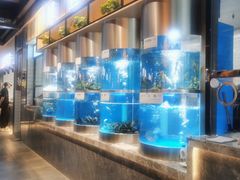 -老船舫·现做活鲜鱼馆(东郊记忆店)