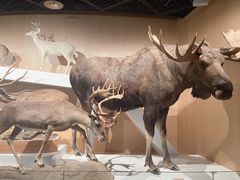 -陕西自然博物馆