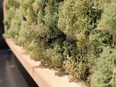 景观位-狐狸爱上椰子鸡(滨江星光大道店)