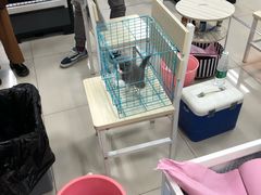 -乐宠宠物店(世纪金源店)