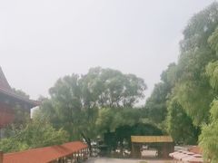 -白洋淀景区