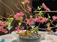 -湘上湘(米其林餐厅-正大中心总店)
