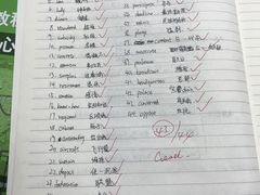 -新航道雅思托福·留学·考研培训(人民广场校区)