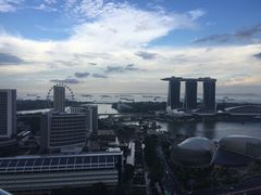 -新加坡瑞士史丹福酒店