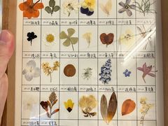 -知物癖(牛王庙店)