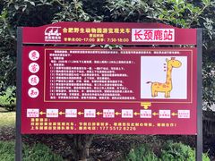 -合肥野生动物园