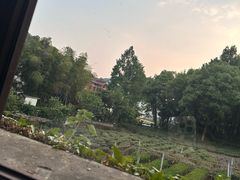 -野蔓果·山野菜(西湖景区·龙井茶田店)