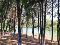 -艾溪湖湿地公园