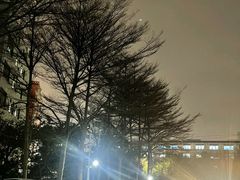 -荔景渔庄